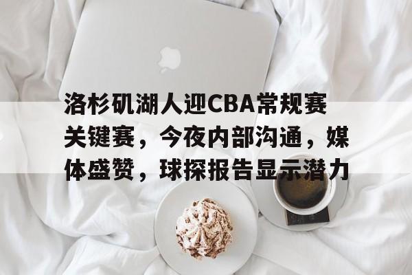 J9官网-洛杉矶湖人迎CBA常规赛关键赛，今夜内部沟通，媒体盛赞，球探报告显示潜力的简单介绍